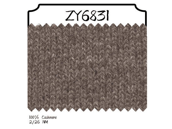ZY6831