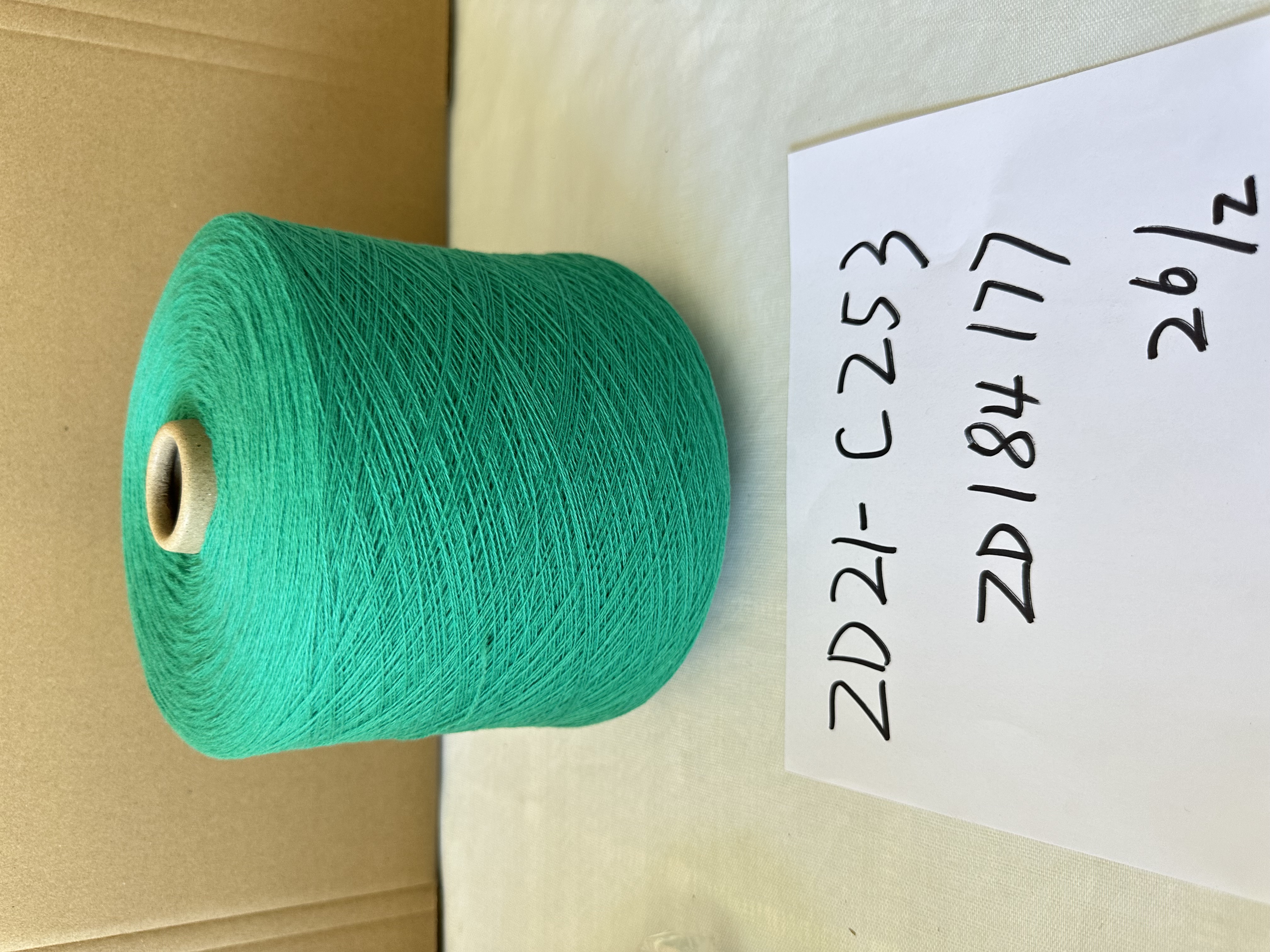 ZD21-C253