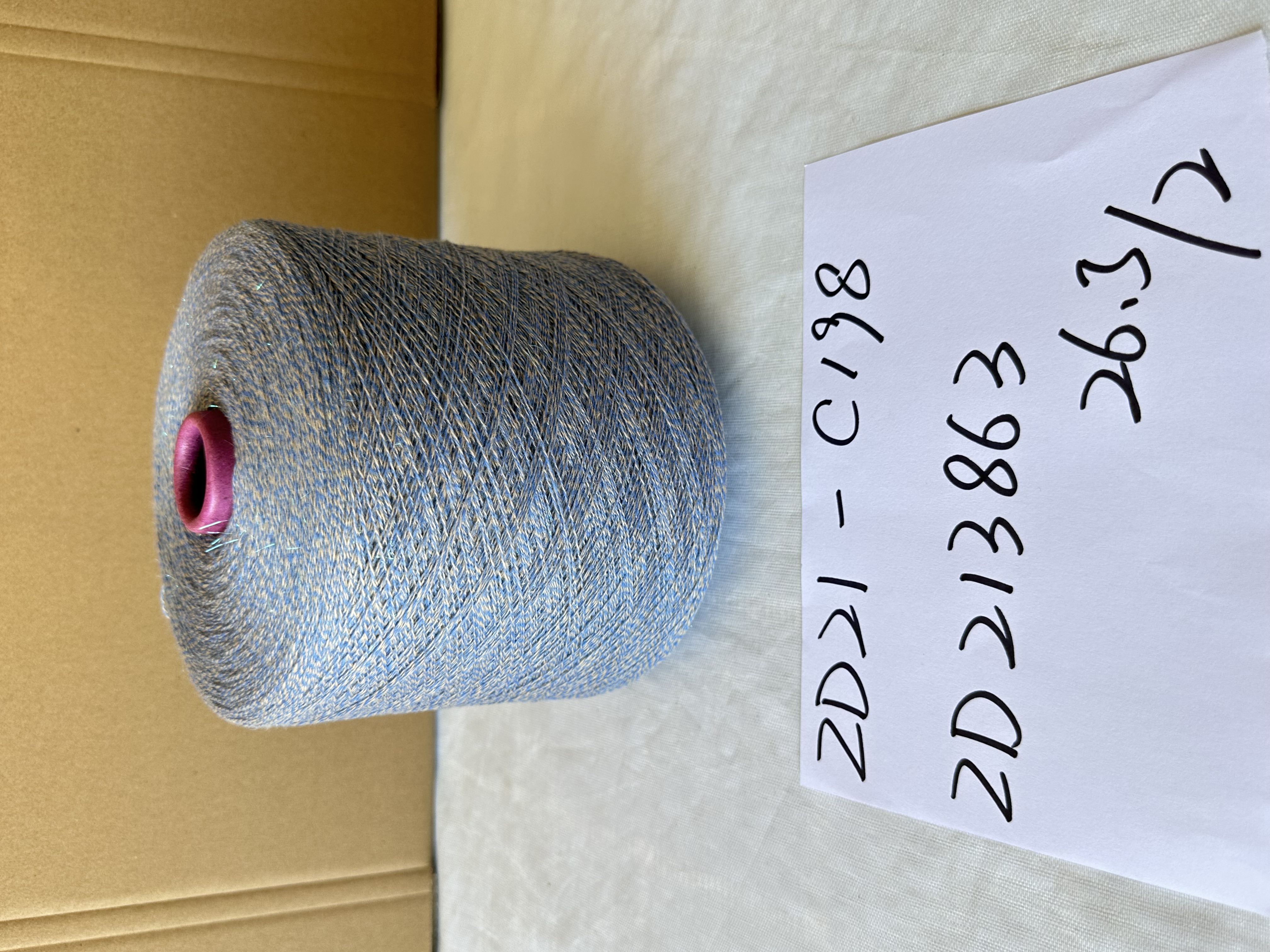 ZD21-C198
